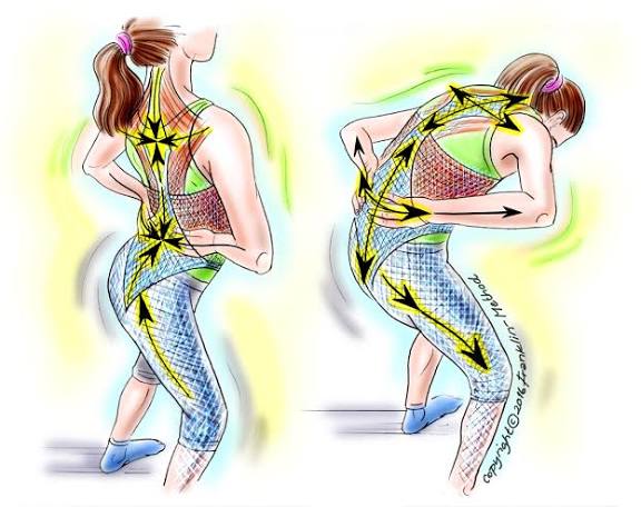 two drawings. One of a of person arching their back and one of a person curling their back,